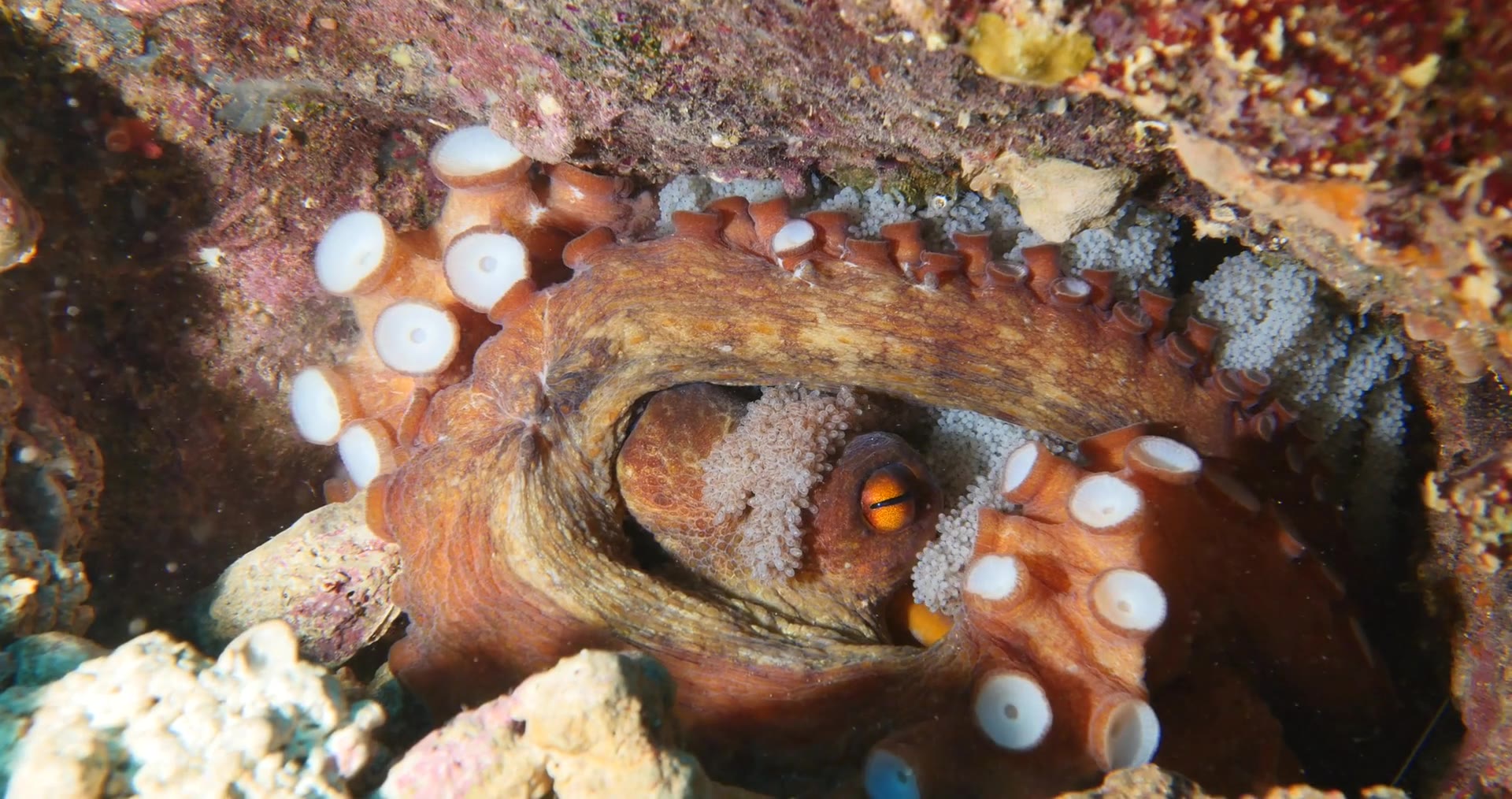 Still from &ldquo;Complexity&rdquo;